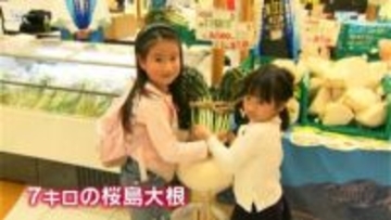 生シイタケ3時間で完売　月日貝や桜島大根が並ぶ「冬のうんまかマルシェ」あす18日まで