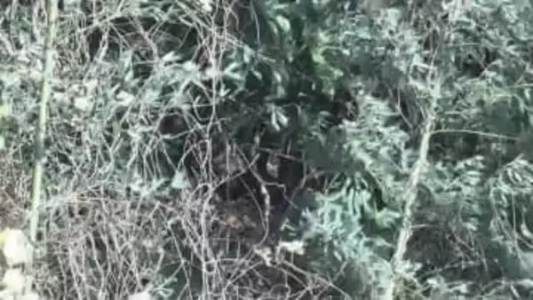 山中で身元不明の遺体見つかる　鹿児島・鹿屋