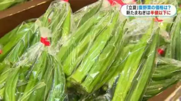 きょう5月5日は立夏　「暑さ」と「物価高」の今年の夏を乗り切る「鹿児島の夏野菜」オクラやゴーヤが値下がり傾向