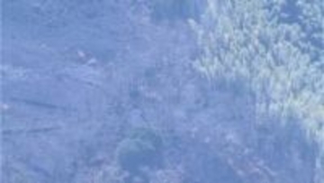 陸自・霧島演習場　350ヘクタール焼く　発生から1日で鎮火確認　鹿児島・宮崎