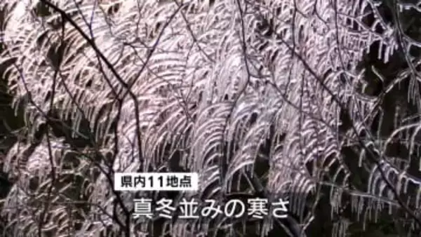 山では雪　仕事納めは寒い朝に　鹿児島