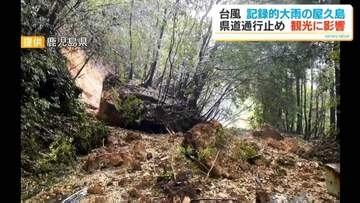台風24号爪痕　屋久島観光へ打撃　復旧工事完了も断水続く