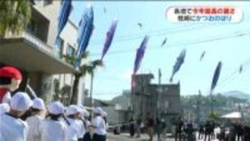 枕崎市は「こいのぼり」ならぬ「かつおのぼり」青空を元気に泳ぐ　鹿児島市の公園はネモフィラの花で青く染まる