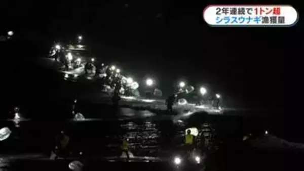 シラスウナギ漁獲量半減も2年連続1トン超「相場は下がり気味」　鹿児島
