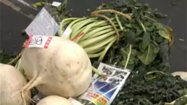 「最後の思い出」閉校する桜島の小学生が作った桜島大根が競り　ギネス認定『世界で一番大きい大根』