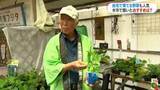 「「実の収穫がたくさん」家庭で育てやすい野菜は？今が植えるタイミング　鹿児島」の画像1