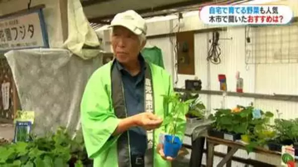 「実の収穫がたくさん」家庭で育てやすい野菜は？今が植えるタイミング　鹿児島