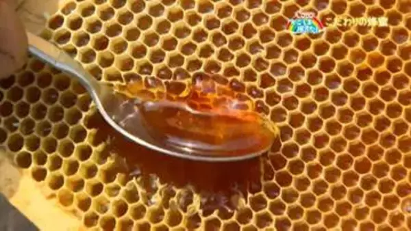 鹿児島～北海道こだわりの国産蜂蜜を求めて　西垂水養蜂園【亀ちゃんのかごしま撮った！】