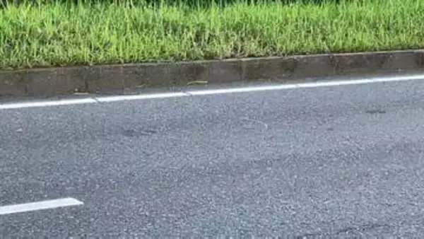 産業道路でバイク集団走行中に追突事故　16歳少女が意識不明の重体　鹿児島