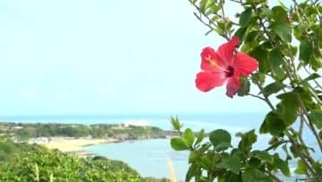 3連休最終日「ぽかぽか」与論町で今年初の夏日　一方で目は「ムズムズ」原因は？