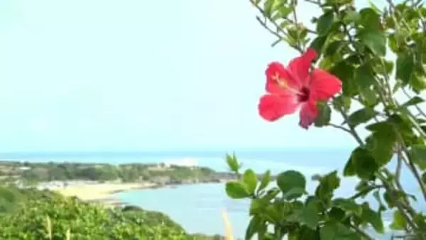 3連休最終日「ぽかぽか」与論町で今年初の夏日　一方で目は「ムズムズ」原因は？