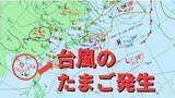 「【台風のたまご】熱帯低気圧が発生「台風6号と同じような進路」の予想も【雨・風シミュレーション4日（木）～8日（月）】台風情報に今後注意　気象庁天気図詳しく」の画像1