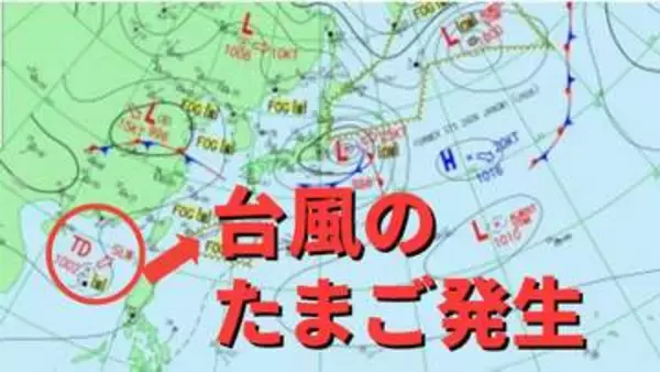 【台風のたまご】熱帯低気圧が発生「台風6号と同じような進路」の予想も【雨・風シミュレーション4日（木）～8日（月）】台風情報に今後注意　気象庁天気図詳しく