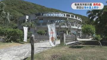 奄美海洋展示館で大水槽の魚約30匹が死ぬ　給水ポンプの故障が原因か…水槽内の水質悪化に水温上昇　奄美市・鹿児島