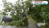 「台風６号鹿児島県縦断ドキュメント　奄美群島で2万5240戸停電　与論町では浄水場が破損し臨時給水所を設置」の画像1