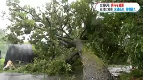 台風６号鹿児島県縦断ドキュメント　奄美群島で2万5240戸停電　与論町では浄水場が破損し臨時給水所を設置