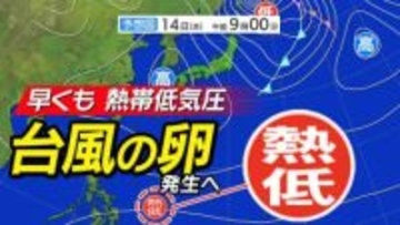 【台風のたまご＝熱帯低気圧】発生へ「1月に台風発生」なら7年ぶり  日本への影響は？【雨風シミュレーション14日（水）～24日（土）／ 全国各都市の週間予報】「今後の台風情報に注意」