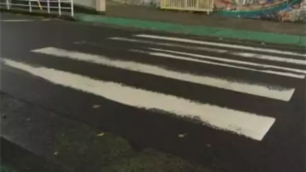 鹿児島市の小学生ひき逃げ事件　警察が男性から任意で事情聴取