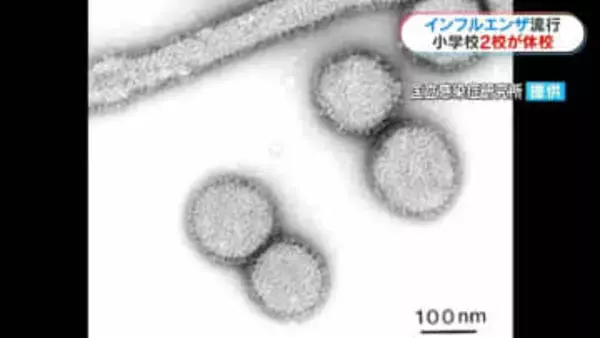 インフルエンザ流行で休校も…　鹿児島県内81校　学年・学級閉鎖