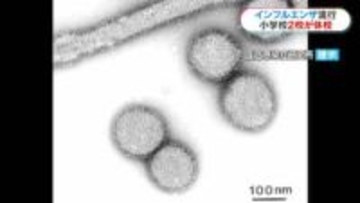 インフルエンザ流行で休校も…　鹿児島県内81校　学年・学級閉鎖