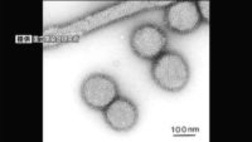 インフルエンザで約1か月ぶりに「休校」確認 県は引き続き「流行発生警報」発表　鹿児島県