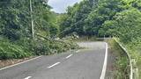 「「国道上で木が倒れ通行できない」出水市の国道447号　倒木の影響で通行止めに　鹿児島」の画像1
