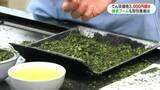 「鹿児島県産「てん茶」二番茶取引会　平均価格は前年比3000円以上高騰も手放しで喜べないワケとは…」の画像1