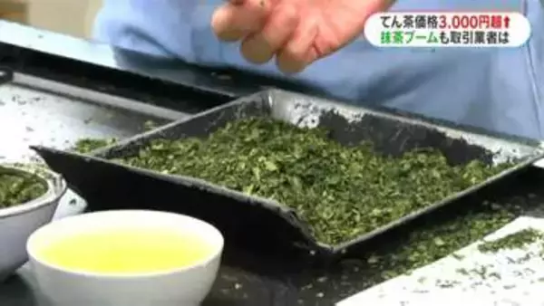 鹿児島県産「てん茶」二番茶取引会　平均価格は前年比3000円以上高騰も手放しで喜べないワケとは…