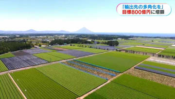 「2030年度に800億円に」鹿児島県が輸出目標額の方針を公表　輸出先を多角化へ