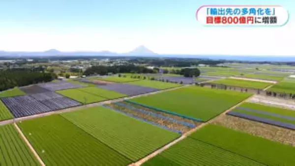 「2030年度に800億円に」鹿児島県が輸出目標額の方針を公表　輸出先を多角化へ