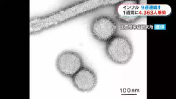 インフルエンザ9週連続増加「帰省で高齢者・大人数で会う機会」感染対策徹底を