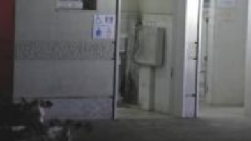 「公園トイレのオムツ交換台が燃えている」放火の可能性も視野に捜査　公園の公衆トイレで火事　鹿児島市宇宿