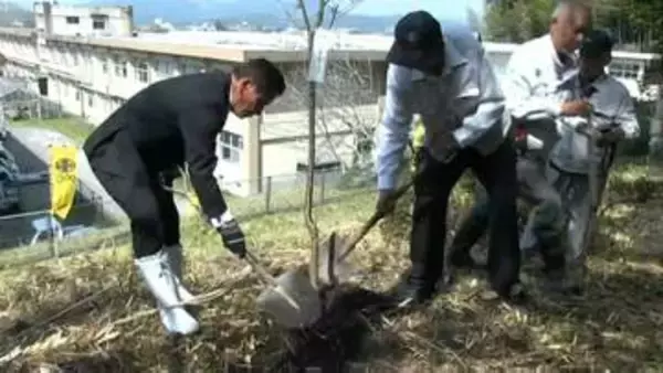 「「1本1本着実に」千本桜を達成　伊佐市・大口城跡」の画像