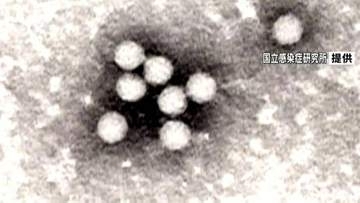 2年ぶりに手足口病流行発生警報「手洗いをしっかり」鹿児島県