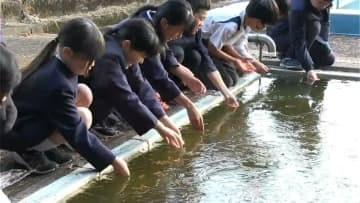鹿児島県本土ほぼ全域で氷点下の朝　伊佐市ではプールに氷　出水市はツル北帰行