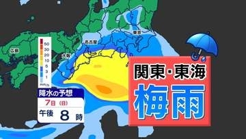 【速報】「関東甲信 東海 梅雨入り」8日（月）にかけて雨  雨量は？【雨シミュレーション／ 関東甲信と東海地方の週間予報】気象庁 梅雨の見通し 「東京  神奈川  埼玉  名古屋  静岡」