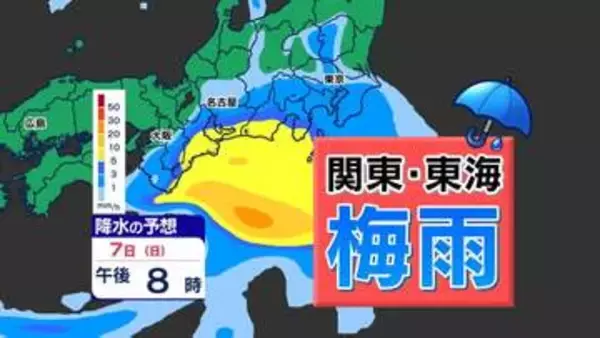 【関東甲信 東海 梅雨入り】８日（月）にかけて雨   梅雨の雨量は？【雨シミュレーション／ 関東甲信と東海地方の週間予報】気象庁 梅雨の見通し 「東京  神奈川  埼玉  千葉  名古屋  静岡」