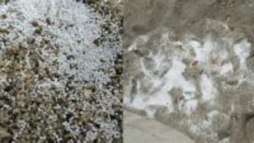 「なんでこんなことができるんだろう」海岸にビーズクッションの中身が散乱　NPOスタッフが怒りと困惑