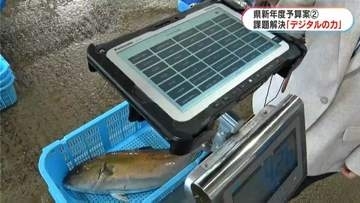 2秒で魚を計量　施策のアイデア出しに「チャッピー」…県予算案を検証(2)「デジタルの力」鹿児島