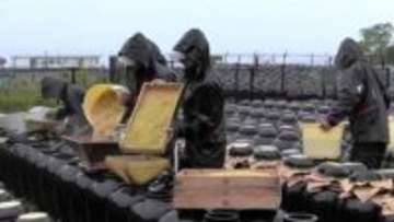 「これから発酵に適した時期」『坂元のくろず』春の仕込み開始　鹿児島