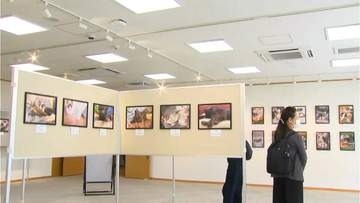 「しあわせ猫写真展」　鹿児島市・仙巌園できょう15日から