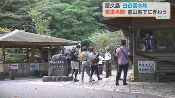 屋久島　人気の「白谷雲水峡」に向かう県道再開　登山客でにぎわう　鹿児島