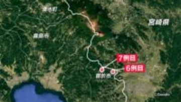 「豚熱発生リスク高まる」曽於市で初　鹿児島県内7例目の野生イノシシ豚熱