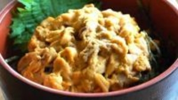 阿久根市「うにと阿久根の旬まつり」　ことしのウニは身入りよく甘味強い