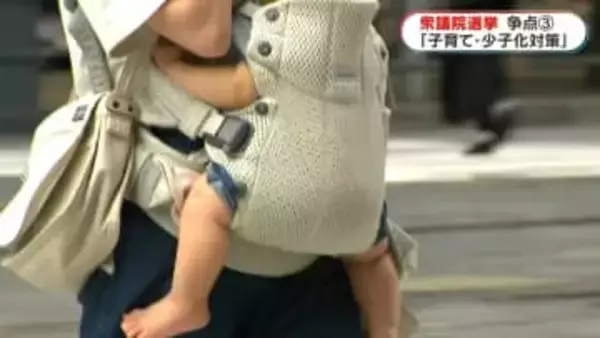 衆議院選挙「争点」子育て・少子化対策　候補者13人の主張は