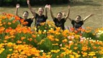 チューリップなど３０万本の花彩る　「夢追い長島花フェスタ」　鹿児島