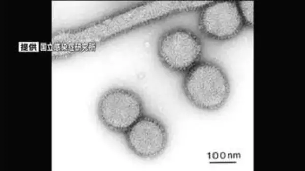 インフルエンザ感染者数96人　前週より124人減少　鹿児島