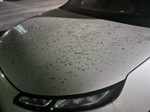 【桜島で噴火】鹿児島市街地に降灰「車に灰が積もり白シャツに灰が…」きょう・あすの降灰予報　鹿児島