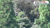 「鹿屋市で建物が全焼　焼け跡から1人の遺体　鹿児島」の画像1