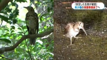 国内初　希少種の保護増殖事業完了の見通し　奄美市で検討会